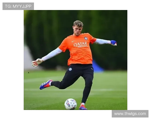 法媒曝国米与塔雷米失联 俱乐部紧急澄清球员安全(2) 法媒曝国米与塔雷米失联 俱乐部紧急澄清球员安全(2)